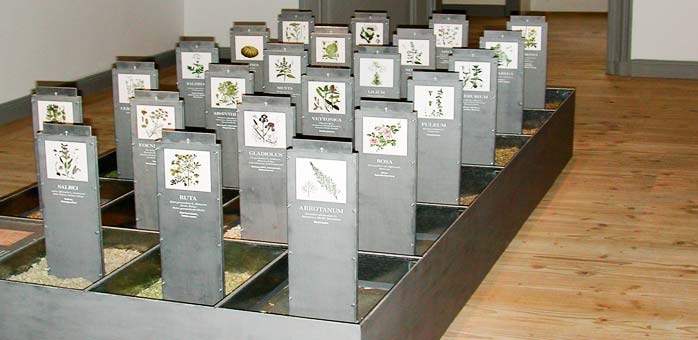 Der Garten als Apotheke, Kräuter-Kasten mit herausziehbaren Beschreibungen